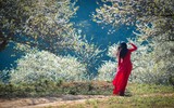 Ngắm những bức ảnh cực đẹp tại Triển lãm 