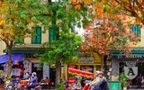 Phố Hà Nội đẹp ngỡ ngàng mùa cây trút lá