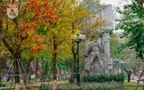 Phố Hà Nội đẹp ngỡ ngàng mùa cây trút lá