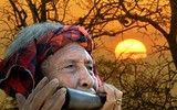 Huyền thoại Vua voi Amakong (P1): Theo dấu bạch tượng mang ngà hổ phách trong đại ngàn sâu thẳm