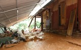 Người dân Đà Bắc gồng mình sau lũ quét