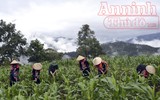 Chuyện về cuộc hồi sinh những tộc người 