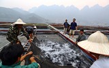 Chuyện ghi bằng ảnh ở phía dưới lòng hồ thủy điện Sơn La