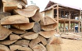 Độc đáo cách làm nhà của đồng bào Thái ở Tây Bắc