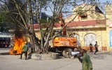 Huy động nhiều lực lượng diễn tập chữa cháy, cứu nạn tại chợ Nành xã Ninh Hiệp