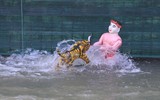 Suốt 300 năm phường múa rối nước làng Đào Thục trầm mình dưới nước