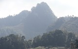 Lạc vào thảo nguyên trắng ngần bồng bềnh trong sương sớm Mộc Châu