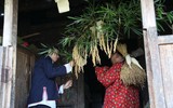 Lễ cúng đặc biệt cảm tạ hồn lúa mới ở Hoàng Su Phì