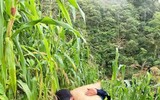 Lực lượng Cảnh sát phòng cháy, chữa cháy khuân vác thực phẩm và dựng nhà giúp dân gặp thiên tai
