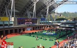 Chợ hoa Quảng Bá lọt vào điểm đón Tết Mậu Tuất 2018 hay nhất thế giới