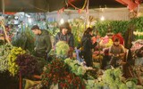 Chợ hoa Quảng Bá lọt vào điểm đón Tết Mậu Tuất 2018 hay nhất thế giới