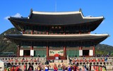 Chợ hoa Quảng Bá lọt vào điểm đón Tết Mậu Tuất 2018 hay nhất thế giới
