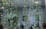 Trải nghiệm ẩm thực cùng gia đình người Việt trong không gian Hà Nội xưa