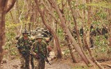 [Ảnh] Trải nghiệm tham quan 