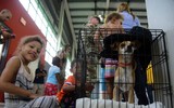 [Ảnh] Người Mỹ hối hả trong guồng quay chống đỡ siêu bão Dorian