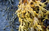 15 điều luật lạ lùng - đáng ngạc nhiên là vẫn tồn tại ở nước Mỹ