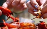 15 điều luật lạ lùng - đáng ngạc nhiên là vẫn tồn tại ở nước Mỹ