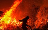[Ảnh] Các quốc gia Đông Nam Á ngột ngạt và bất an vì khói mù