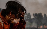 [Ảnh] Các quốc gia Đông Nam Á ngột ngạt và bất an vì khói mù