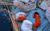 Thông điệp về môi trường thế giới qua những bức ảnh đoạt giải CIWEM 2019