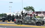 Tổng thống Mexico ủng hộ việc thả con trai ông trùm 
