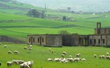 [Ảnh] Ngắm những ngôi nhà giá 0 đồng ở thị trấn cổ Cammarata trên đảo Sicily