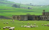 [Ảnh] Ngắm những ngôi nhà giá 0 đồng ở thị trấn cổ Cammarata trên đảo Sicily