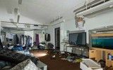Phát hiện trang trại trồng cần sa bí mật ngay dưới nền nhà hát cũ ở London