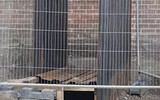 Phát hiện trang trại trồng cần sa bí mật ngay dưới nền nhà hát cũ ở London