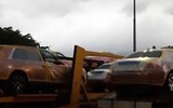 Phát hoảng với độ 