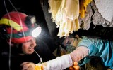 Những bức ảnh cô đọng về toàn cảnh thế giới trong năm 2019