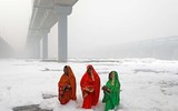 Những bức ảnh Instagram đẹp nhất năm 2019 trên Hãng thông tấn Reuters