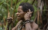 Hình ảnh hiếm hoi về người Korowai - bộ lạc mà thế giới 