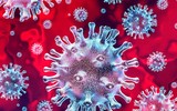 Các cách tự phòng ngừa trước virus corona nguy hiểm đang bùng phát