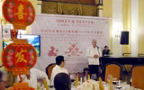 Hình ảnh mới nhất về đón Tết Canh Tý 2020 trên thế giới