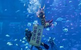 Hình ảnh mới nhất về đón Tết Canh Tý 2020 trên thế giới