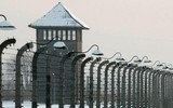 Nghẹn lòng những hình ảnh về Auschwitz - trại diệt chủng khét tiếng nhất được giải phóng 75 năm trước