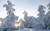 Sống trong trời lạnh -59 độ C, người dân Siberia vẫn thấy… mát nhẹ
