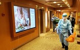 Đi tàu du lịch hạng sang nhưng 