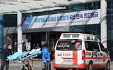 Hàn Quốc lên 