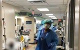 Hãi hùng cảnh hàng dài xe đông lạnh chờ chở thi thể từ các bệnh viện New York
