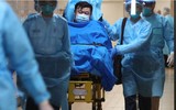 Tổng Giám đốc WHO trước làn sóng kêu gọi từ chức vì giúp 