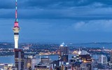 Vì sao Thủ tướng New Zealand từ chối mời gọi giới siêu giàu đầu tư thời Covid-19?