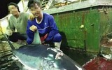 [Ảnh] Vụ hải táng 3 thuyền viên thổi bùng căng thẳng ngoại giao Indonesia - Trung Quốc
