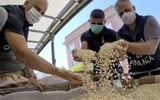 [Ảnh] Cảnh sát Italia 