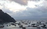 [Ảnh] Đội tàu đánh cá 
