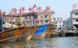 [Ảnh] Đội tàu đánh cá 