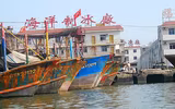 [Ảnh] Đội tàu đánh cá 