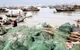 [Ảnh] Đội tàu đánh cá 