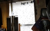 Nghề đáng buồn nhất ở Nhật Bản: Làm sạch căn hộ của những người già 